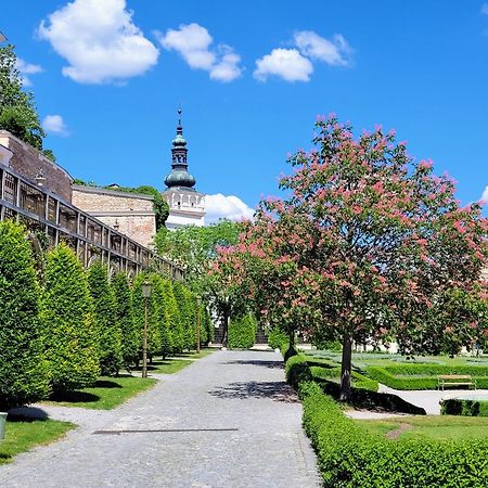 Chateau View Apartment Mikulov Eksteriør billede