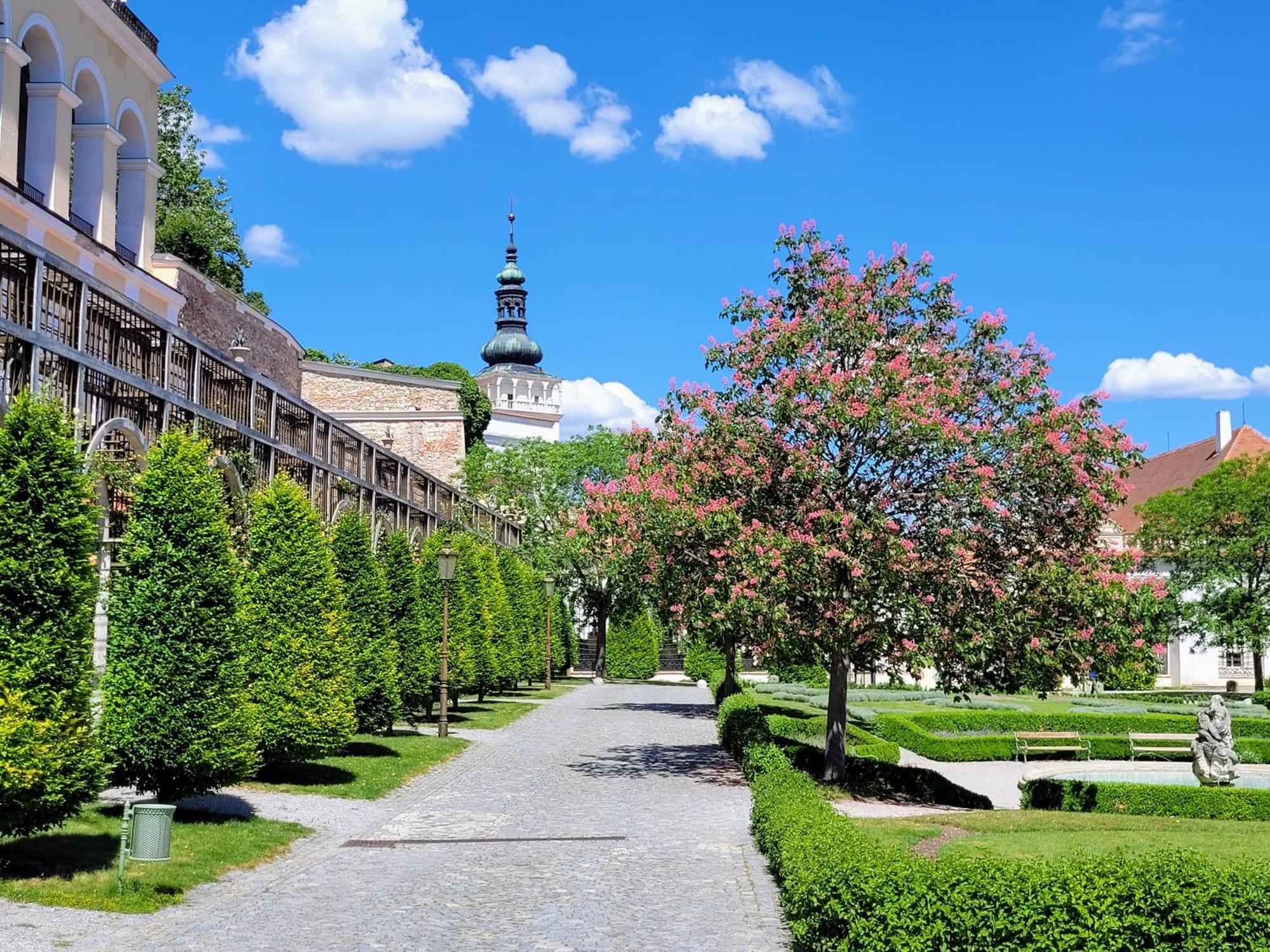 Chateau View Apartment Mikulov Eksteriør billede